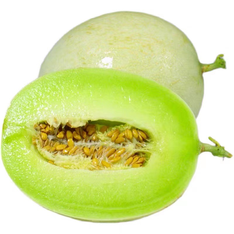 海南玉菇甜瓜新鲜5/9斤装应季头茬甜瓜现摘现发玉菇甜瓜一件代发