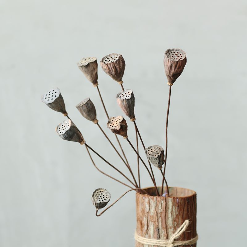 素居装饰艺术 植物干花干草干果 迷你小莲蓬气质禅意-阿里巴巴