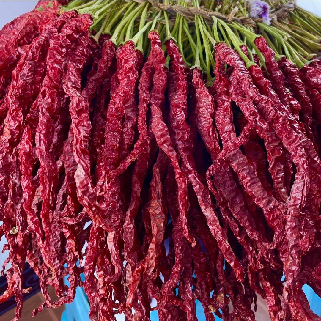 贵州特产大方邹椒线椒干辣椒海椒特香四川二荆条干货精选500g包邮