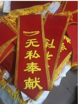 胸带绥带红缓带挂条喜庆绶带条戴斜挂宣传布迎宾彩带迎条幅