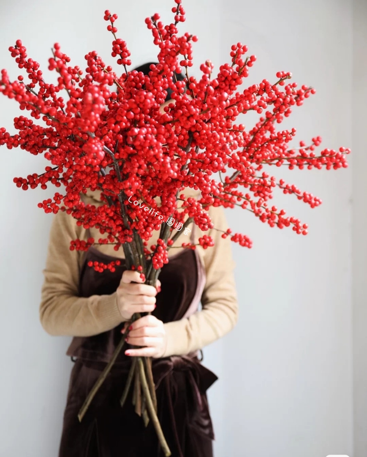 北美冬青发财红果鲜花真花春节喜庆火棘果年宵花招财花装饰