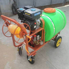 农用消毒喷雾器手推式拉管打药机喷雾柱塞泵四轮汽油高压打药车