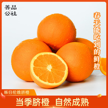 善品公社秭归脐橙伦晚3斤橙子生鲜当季孕妇水果新鲜手剥整箱包邮