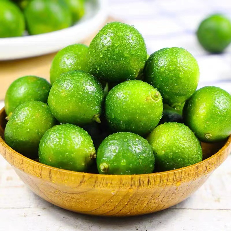 海南金桔柠檬小青桔青柠檬青柠1斤2斤3斤5斤装果园小金桔一件代发