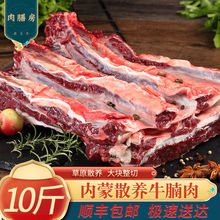 内蒙古牛腩肉黄牛肉鲜牛肉新鲜现杀批发10斤生肉牛腱子肉2.5斤