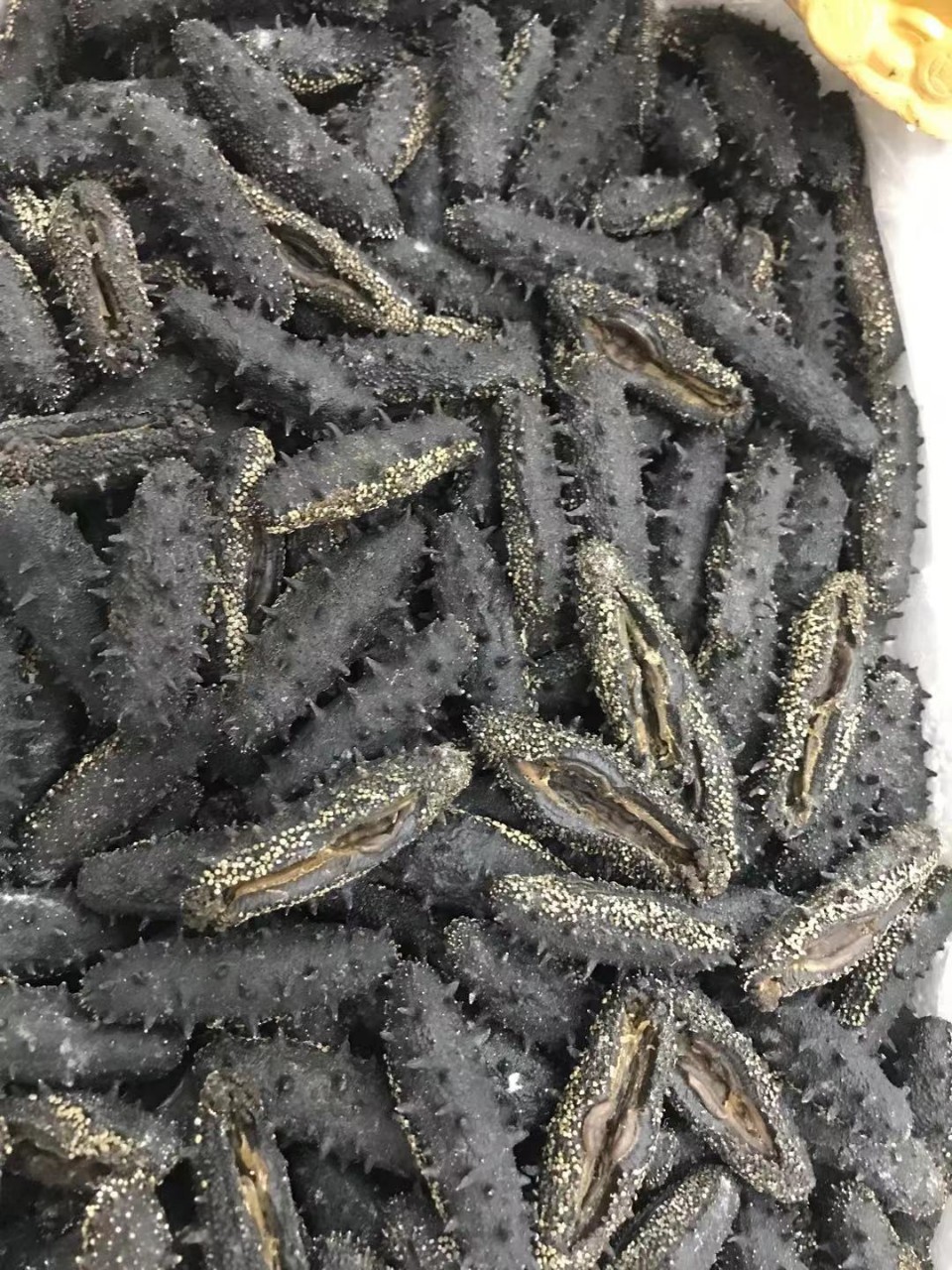 福建开口淡干海参干货50克送礼必备佳品可打礼盒泡发10-12倍左右