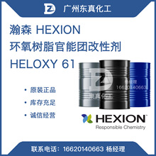 瀚森 环氧树脂官能团改性剂 HEXION HELOXY 61 丁基缩水甘油醚