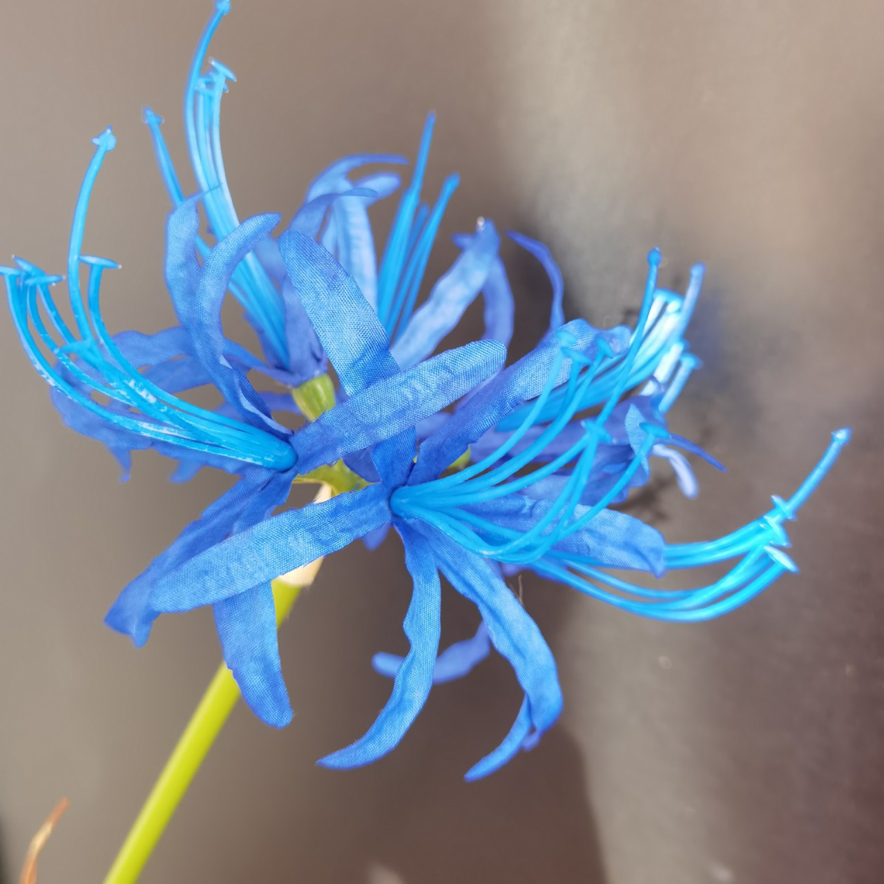 2叉彼岸花家居样板间影棚婚纱影楼拍照道具仿真花假花装饰批发