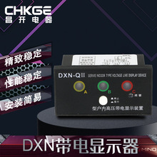 DXN-Q-11-111户内高压带电显示装置传感器装置DXN-T-11-111线
