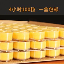 4小时酥油灯供佛灯无烟蜡烛家用香薰蜡烛浪漫长明灯佛具用品批发