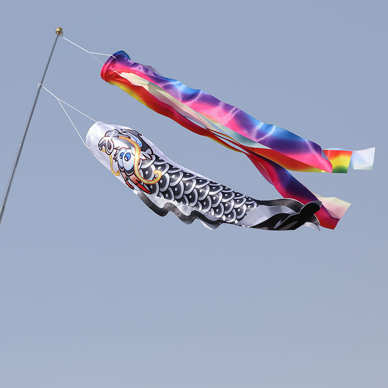 直销 日本鲤鱼旗流苏彩带七彩流苏日式流苏彩带鲤鱼幡 流苏彩带