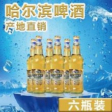 Harbin哈尔滨啤酒 玻璃瓶小麦王哈啤熟啤酒500ml1900臻藏小麦精酿