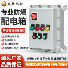 厂家直销防爆配电控制动力仪表箱接线开关监控不锈钢电源防爆箱