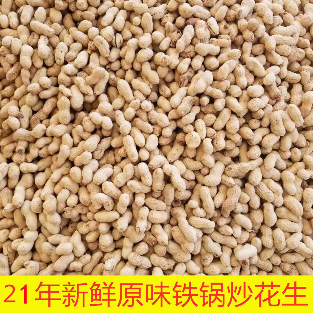 21年炒花生味带壳 河南农家铁锅炒熟花生散装大花生小花生