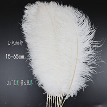 厂家直发15-65厘米白色细杆鸵鸟毛舞台表演服饰灯具辅料装饰羽毛