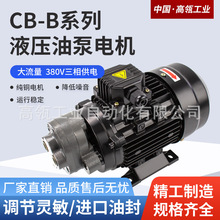 液压齿轮油泵CB-B4/B6/B10/B2.5/B16/B20/25/B32三角机润滑油泵头