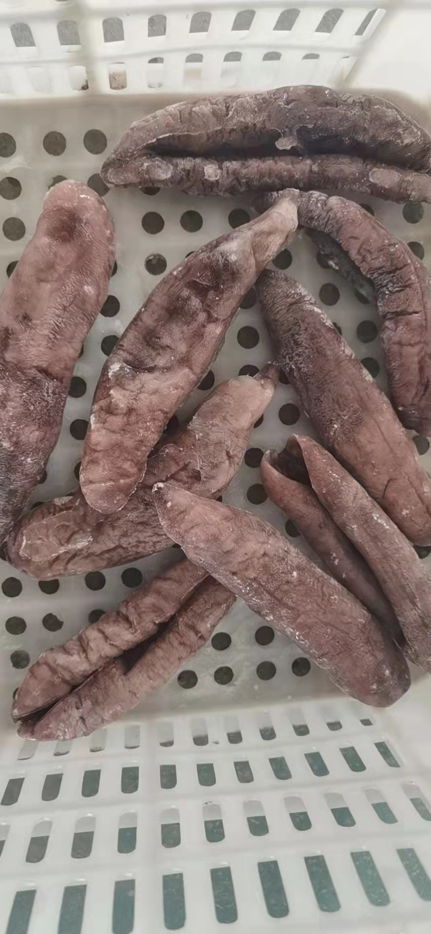 新鲜即食大乌参400g 速冻茄子参 单只海参丝块段酒店海参