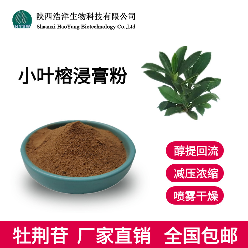 小叶榕粉 浩洋生物 醇提喷雾 榕树叶提取物 异牡荆苷 批发包邮