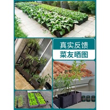 香菜种植盆套装花营养土工具四季阳台栽蔬箱小葱室内专用家长方形