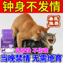 猫咪禁情静情粉母猫专用发情期抑制非药绝育禁粉公猫闹喵叫抑情片