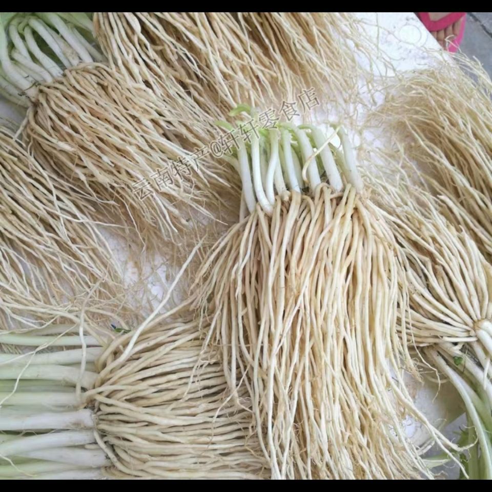 云南德宏新鲜蔬菜撇菜根 苤菜根大韭菜根可腌制斤凉拌月子炖汤