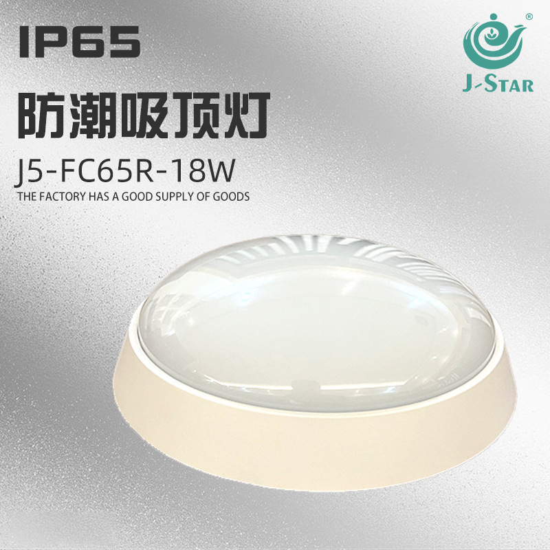 led三防户外灯具ip65防水防尘室外灯卫生间阳台走廊过道楼梯壁灯