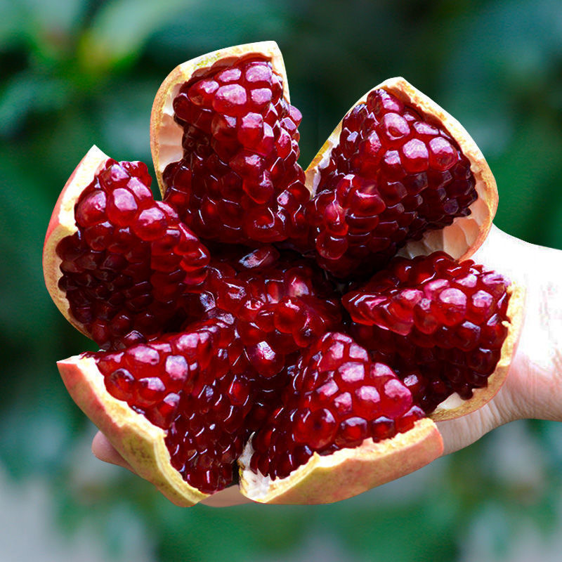 包邮突尼斯软籽石榴现摘现发无籽红心水晶石榴应季水果新鲜甜水果
