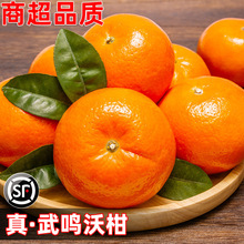 广西武鸣沃柑10斤新鲜水果当季整箱一级沙糖蜜橘砂糖柑橘橘子桔子