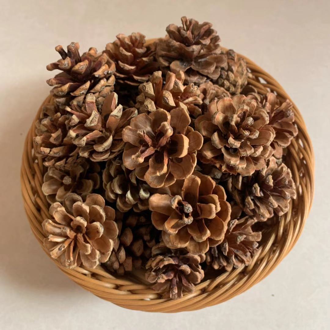 圣诞松果油松拍照道具幼儿园diy环创材料圣诞松果吊饰北方松果