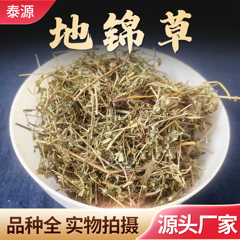 优质地锦草当季现货批发中草药-阿里巴巴