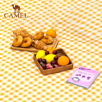 骆驼野餐垫防潮垫子加厚户外露营帐篷地垫便携野炊野餐布折叠坐垫