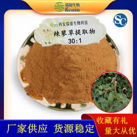 辣蓼草提取物