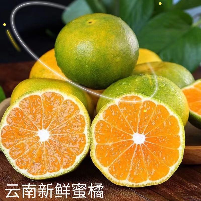 云南蜜桔早熟青皮桔子10斤薄皮橘子无籽新鲜现摘当季孕妇水果包邮