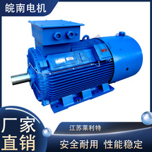 安徽皖南电机厂家直销YLVF系列低压大功率变频三相异步电动机