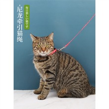 猫咪牵引绳防挣脱遛猫绳溜猫绳子专用家用链子神器套脖式外出链牵