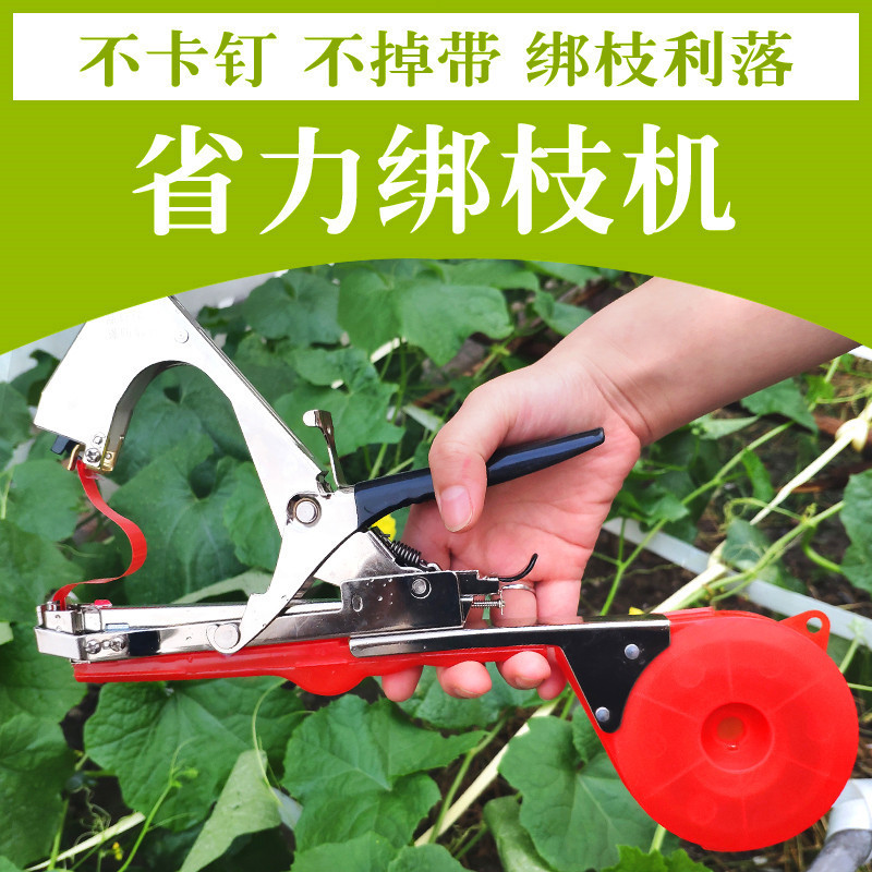 机果实买室内绑枝器想工具我树枝绑扎猕猴桃果树塑胶多功能修枝