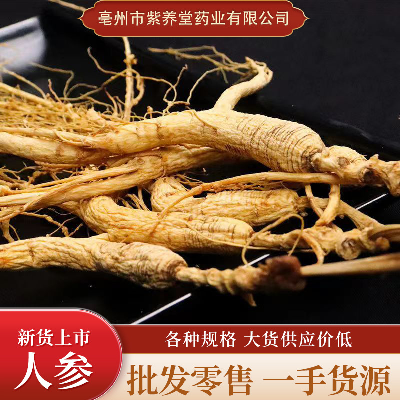 长白山人参中药材东北批发片散装500克干2斤正品整根茶特产泡酒