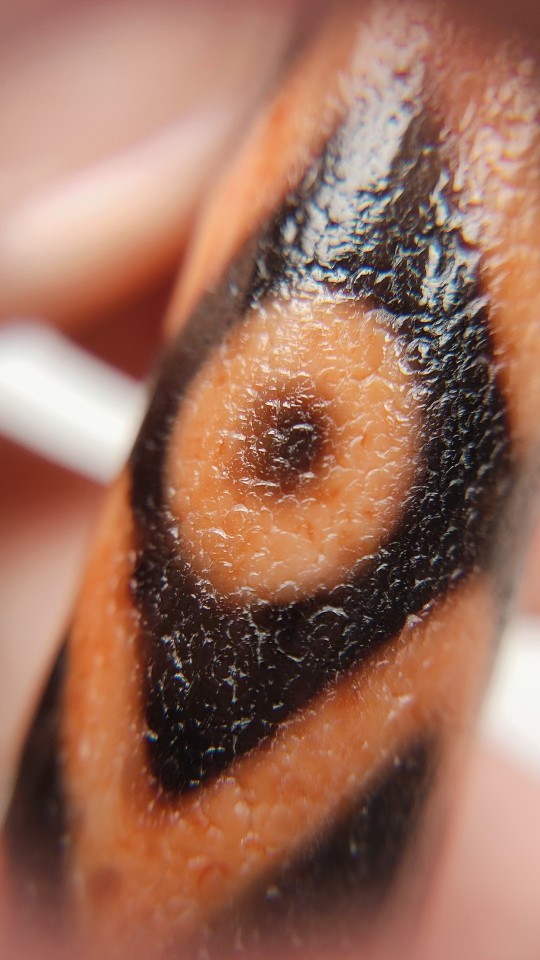 藏区老料朱砂龙鳞纹古法措丝金刚水纹九眼天珠桔皮风化清晰包浆a