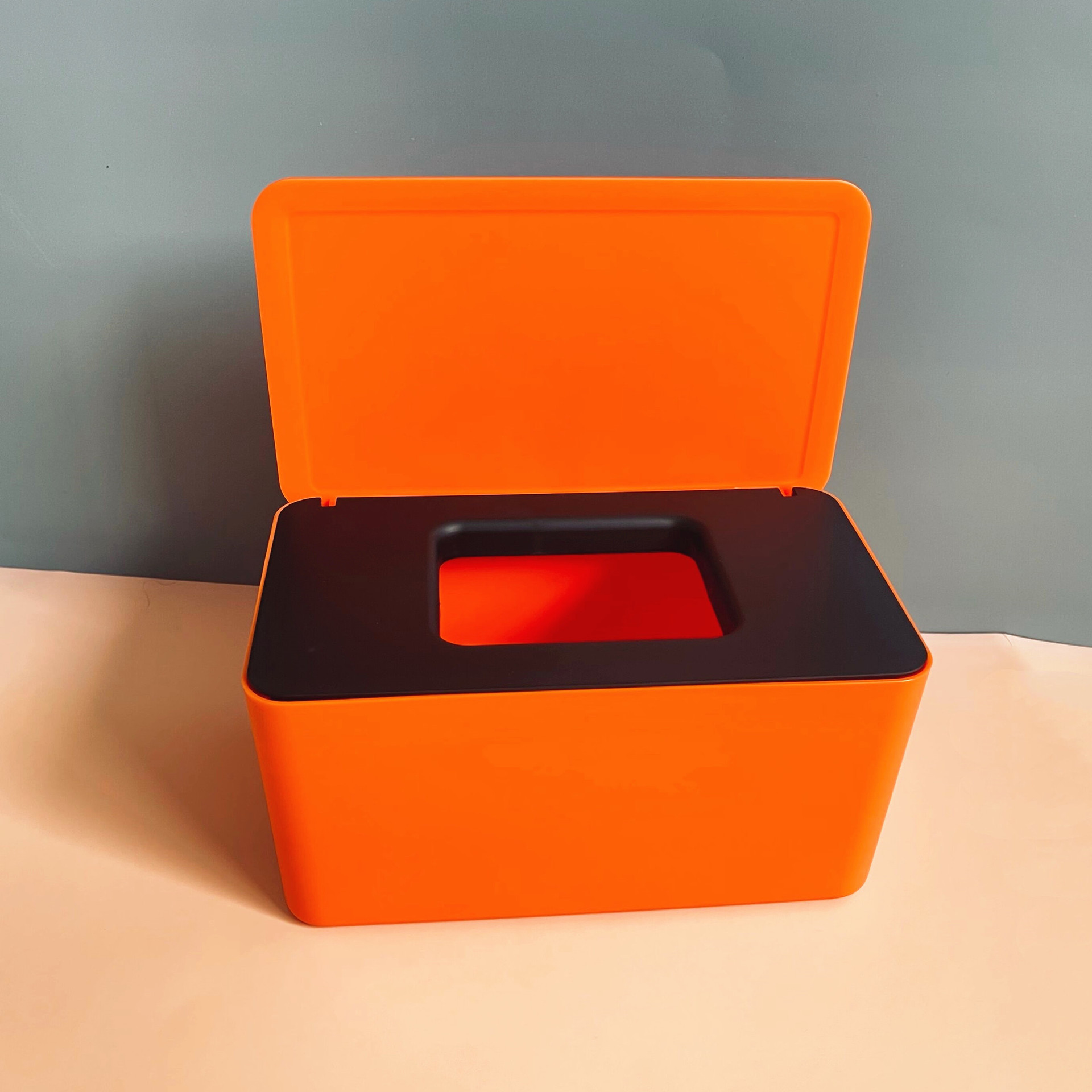 大号口罩盒学生成人鼻罩暂存收纳盒子家用湿纸巾盒带盖防尘纸巾抽