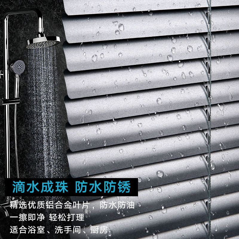 Soft Gauze Roller Shutter Louver Curtain Day & Night Curtain Double-Layer Roller Shade Double Roller Blind Curtain Tracery Window Screen