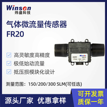 炜盛科技FR20气体微小流量传感器便携式气体分析仪检测仪探头元件