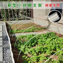 新型小拱棚支架种菜拱杆家用菜地搭架子农用蔬菜保温大棚骨架