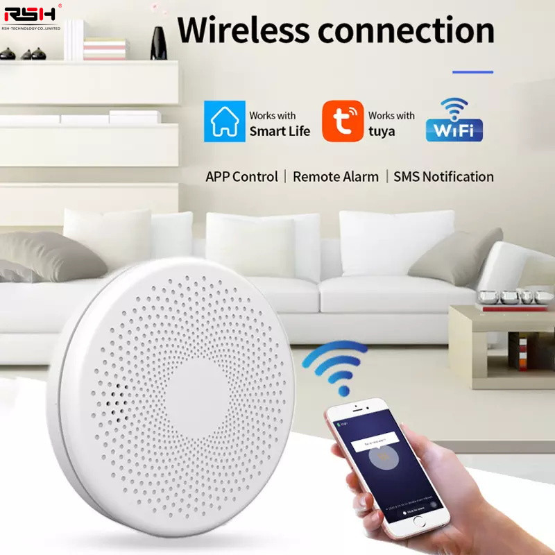 Graffiti WiFi Smart Smoke Detector Carbon Monoxide Detector Tuya Smoke Fire Sound Alarm