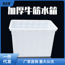 加厚牛筋水箱塑料长方形卖鱼养鱼水产养殖家用储水桶大容量塑料桶