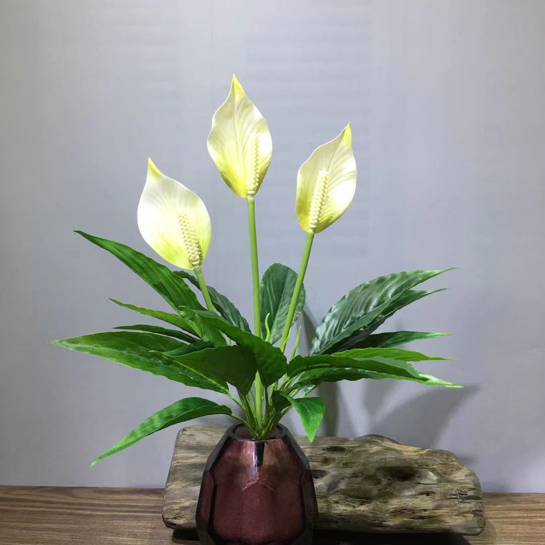 仿真白掌一帆风顺白鹤芋三头红掌和平芋会议室酒店摆放亚马逊跨境