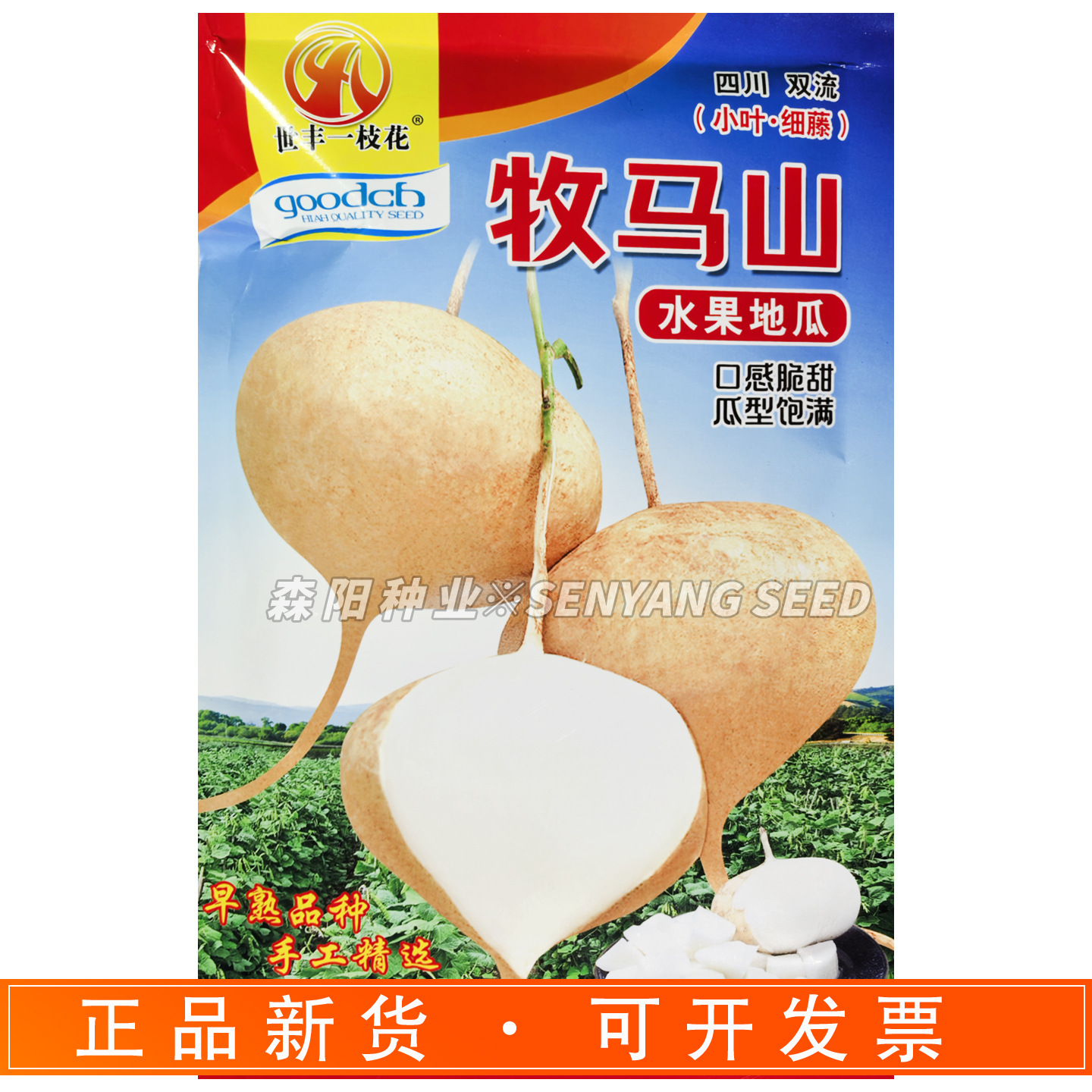 世丰一枝花牧马山水果地瓜种子早熟脆甜水果凉薯川早一号双鑫108