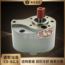 CB-B齿轮油泵 CB-B2.5铸铁齿轮油泵小型液压机油润滑泵型号齐全