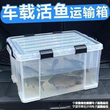 鱼箱户外车载后备箱活鱼运输水箱密封条收纳钓鱼箱养鱼周转箱厚热