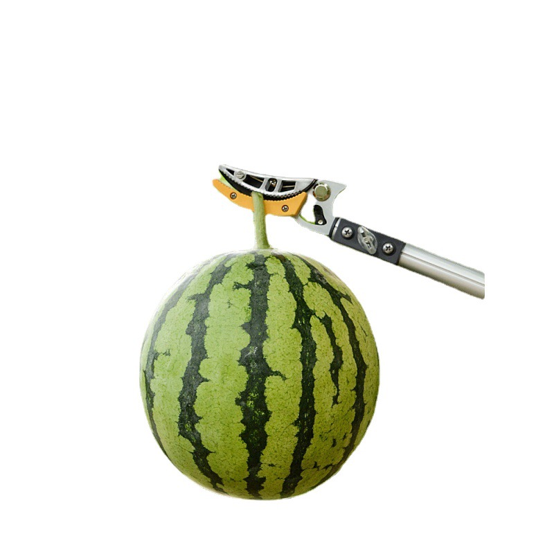 摘龙眼摘荔枝神器伸缩杆高空水果剪摘果神器采摘剪刀摘果高枝剪