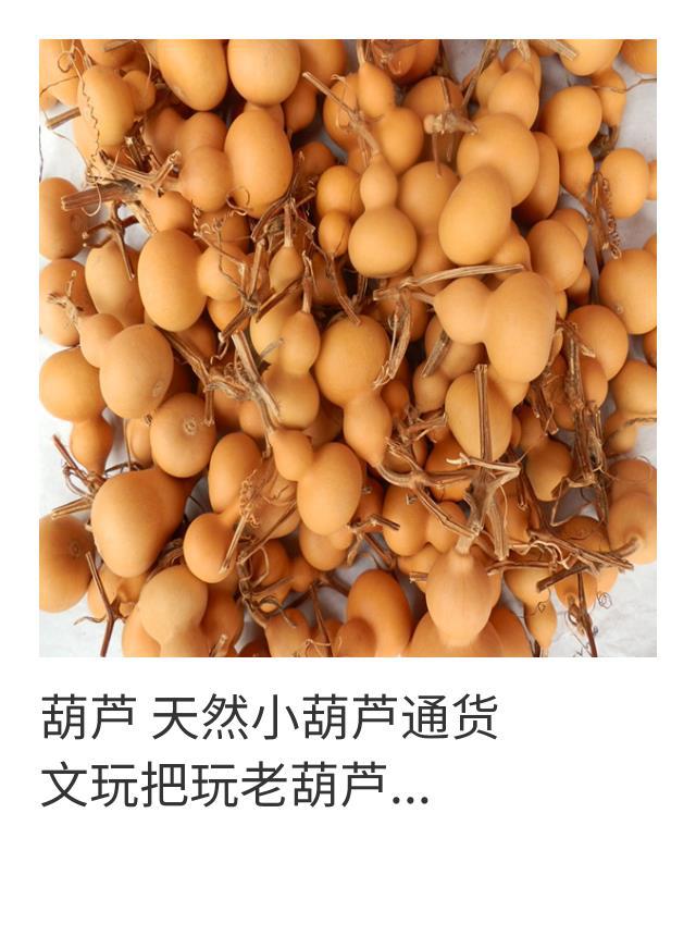 天然小葫芦通货文玩把玩手捻美国特小把件草里金招财摆件挂件玩具